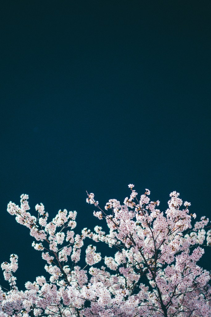 Spring 2025 (Soundcloud Playlist) – Stationary...
